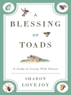 cover image of A Blessing of Toads